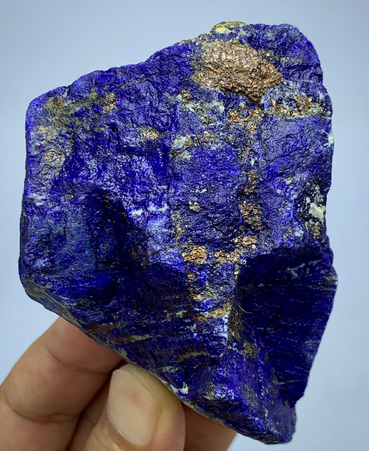 A raw, rough-cut lapis lazuli crystal specimen with prominent metallic gold pyrite inclusions, held in a person's hand against a light gray background.
