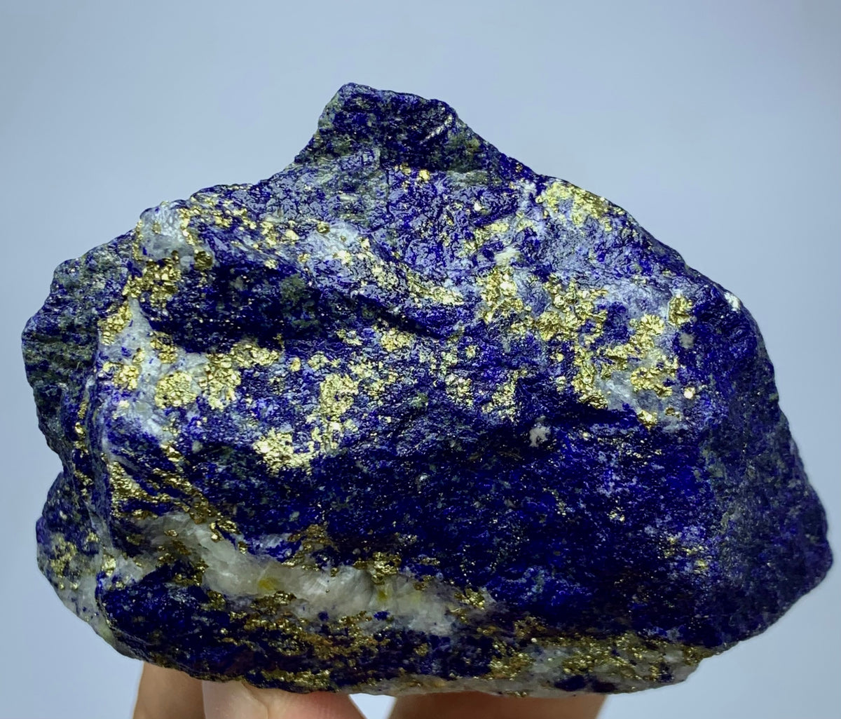 A raw lapis lazuli crystal specimen with prominent metallic gold pyrite inclusions, held up against a plain light gray background.