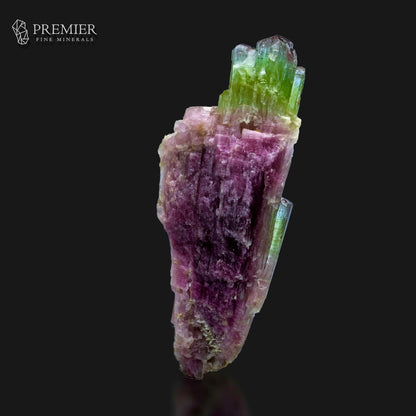 A natural mineral specimen featuring vibrant green and purple crystals on a rough, earthy matrix, displayed against a solid black background with a reflection at the bottom. The Premier Fine Minerals logo is visible in the top left corner.
