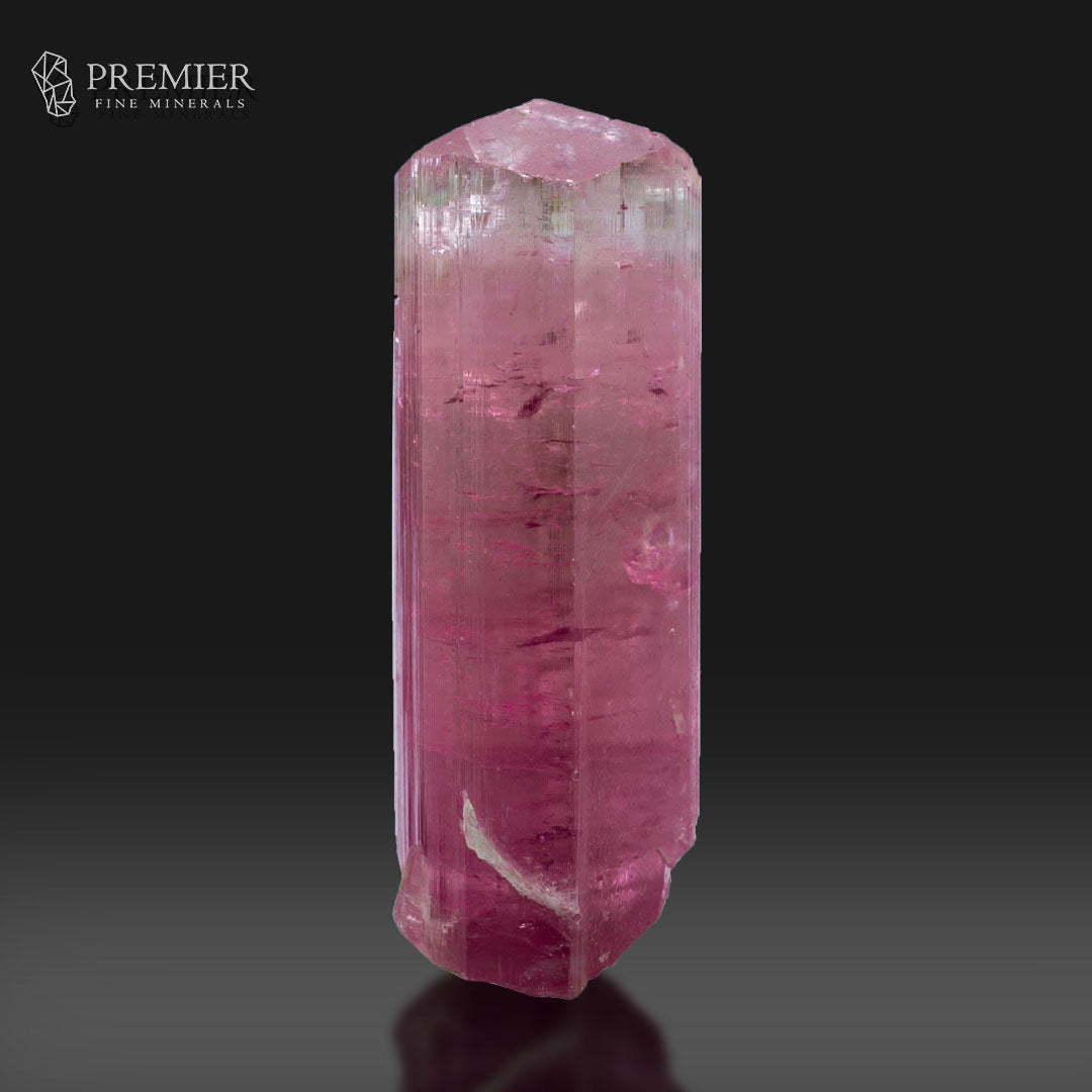 A tall, hexagonal pink tourmaline crystal with natural inclusions, displayed on a reflective black surface against a dark gray gradient background. The Premier Fine Minerals logo is visible in the top left corner.