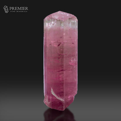 A tall, hexagonal pink tourmaline crystal with natural inclusions, displayed on a reflective black surface against a dark gray gradient background. The Premier Fine Minerals logo is visible in the top left corner.