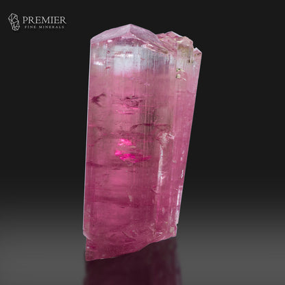 A pink tourmaline crystal specimen with natural inclusions, displayed on a reflective dark surface against a black background. The Premier Fine Minerals logo is visible in the top left corner.