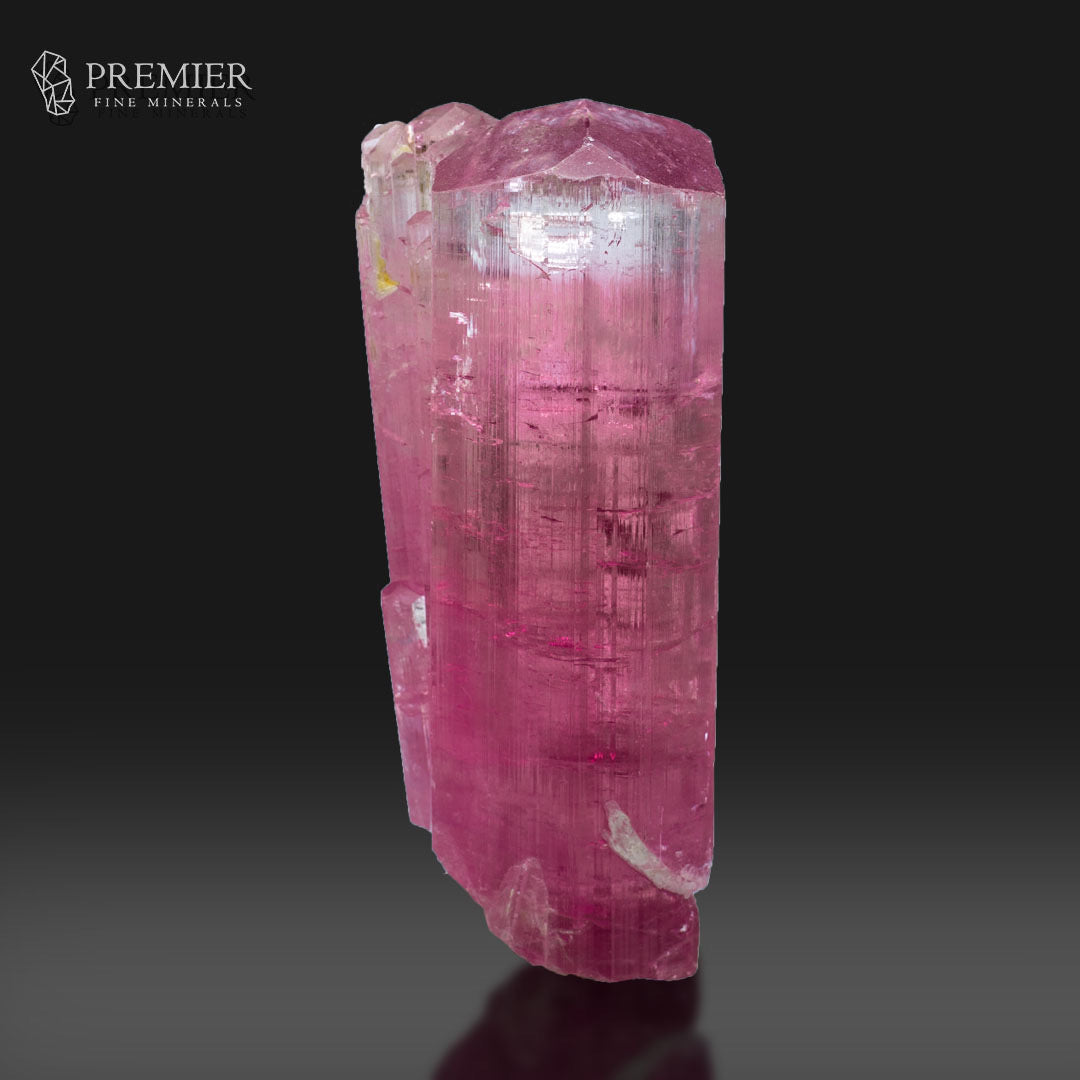 A pink tourmaline crystal specimen with natural rough edges and a faceted top, photographed upright against a dark gradient background. The Premier Fine Minerals logo is visible in the upper left corner.