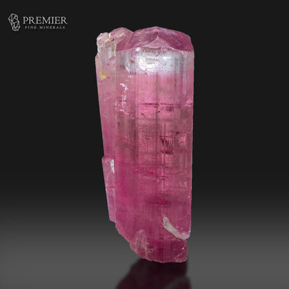 A pink tourmaline crystal specimen with natural rough edges and a faceted top, photographed upright against a dark gradient background. The Premier Fine Minerals logo is visible in the upper left corner.