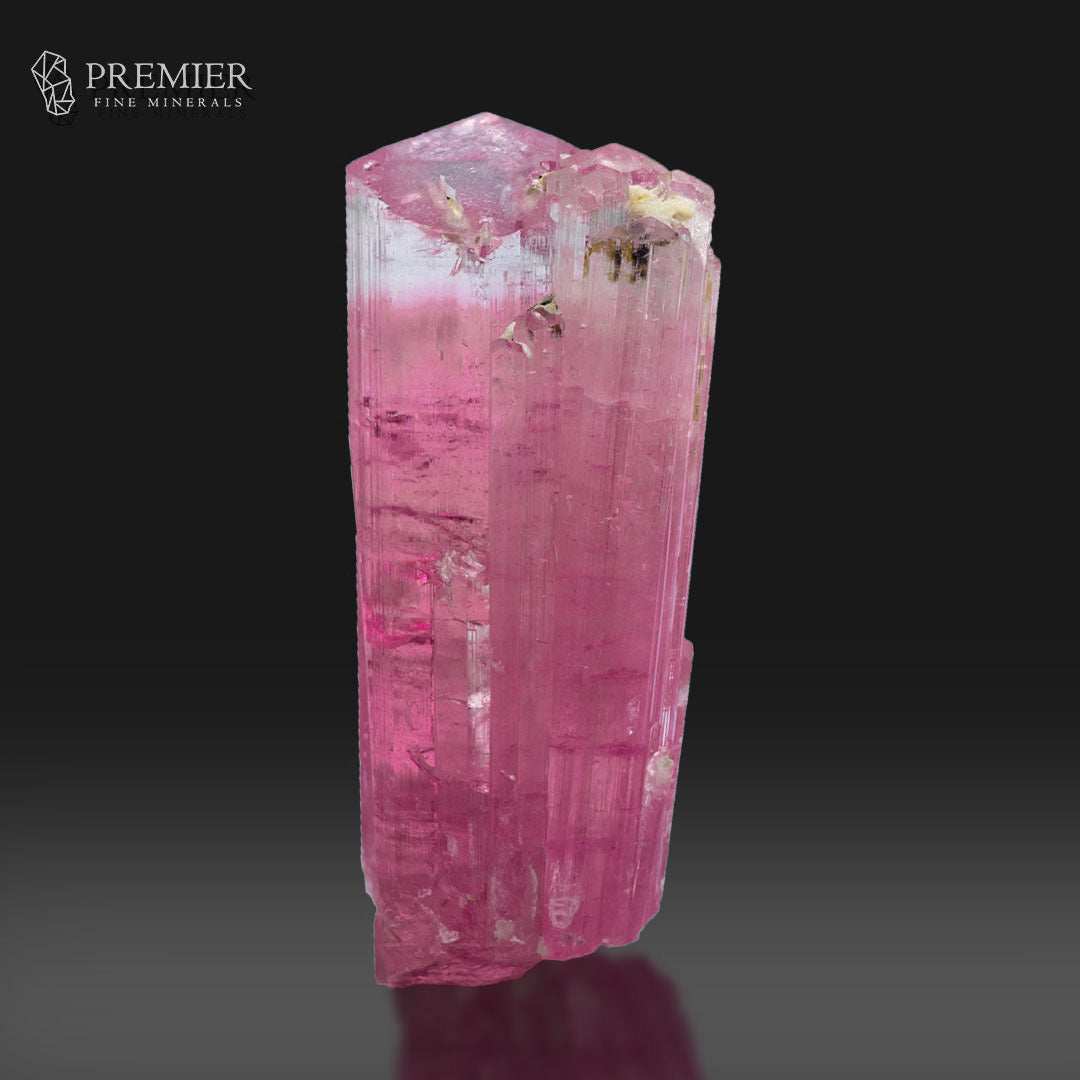 A pink tourmaline crystal specimen with natural inclusions, displayed on a reflective surface against a dark gray gradient background. The Premier Fine Minerals logo is visible in the top left corner.