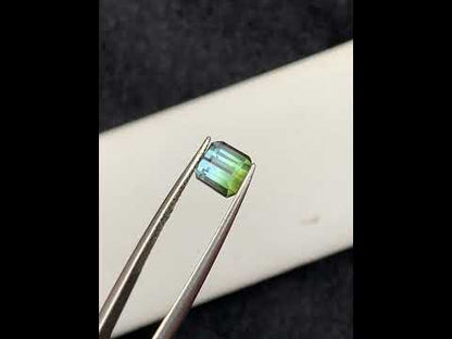 Bicolor Tourmaline From Afghanistan