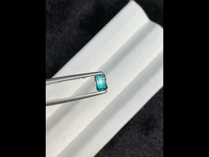 Bicolor Tourmaline Facet from Afghanistan