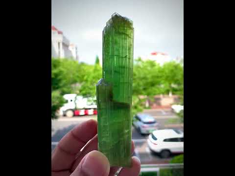Natural Gemmy Green Tourmaline Terminated Crystal – Monster Quality Crystal Paprock Mine Afghanistan