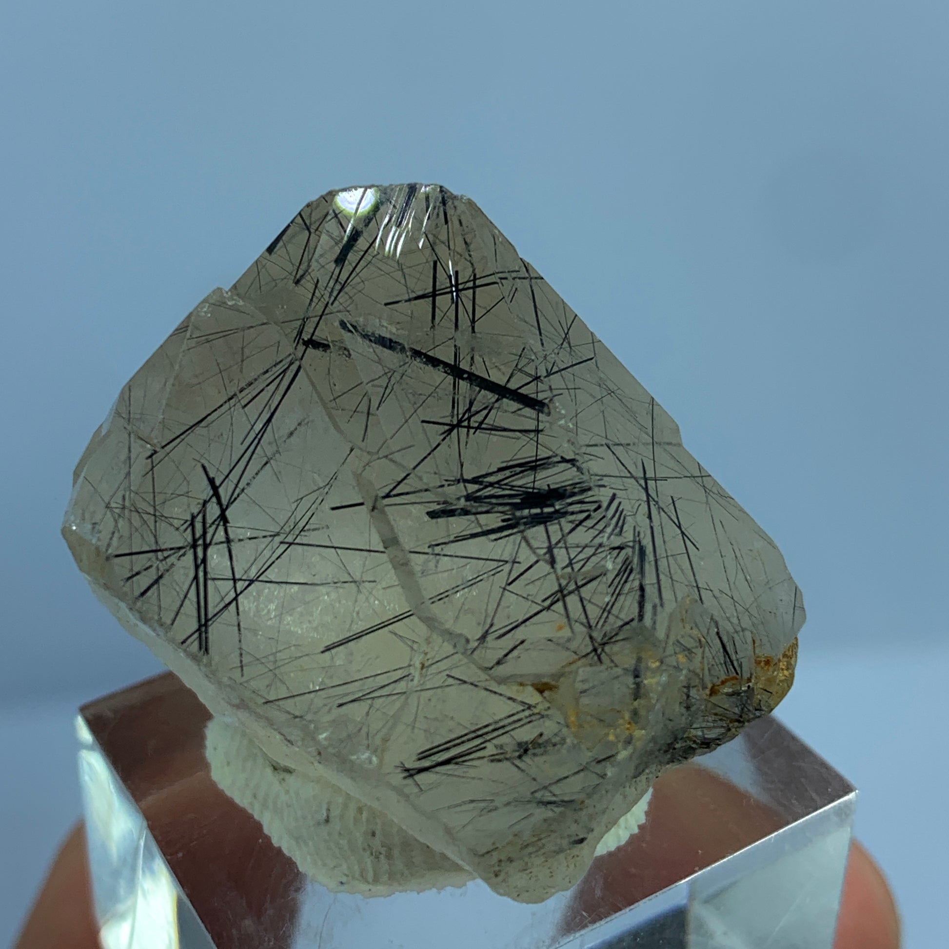 Black Rutile Quartz, Terminated Crystal, Rutilated Quartz, Natural Point Crystal, 130 Carat Crystal, Rare Mineral, Pakistan Quartz, Raw Crystal, Quartz Specimen, Black Rutile Inclusions, Collector Crystal, Healing Crystal