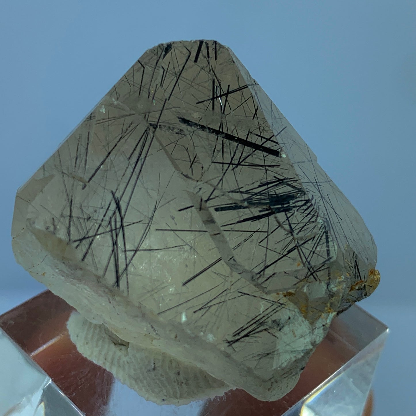 Black Rutile Quartz, Terminated Crystal, Rutilated Quartz, Natural Point Crystal, 130 Carat Crystal, Rare Mineral, Pakistan Quartz, Raw Crystal, Quartz Specimen, Black Rutile Inclusions, Collector Crystal, Healing Crystal