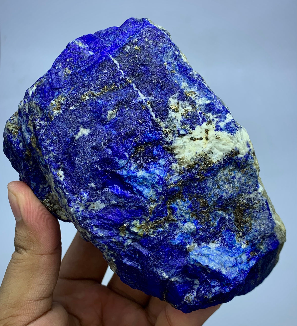 A raw blue lapis lazuli crystal specimen with gold pyrite and white calcite inclusions, held in a person's hand against a light gray background.