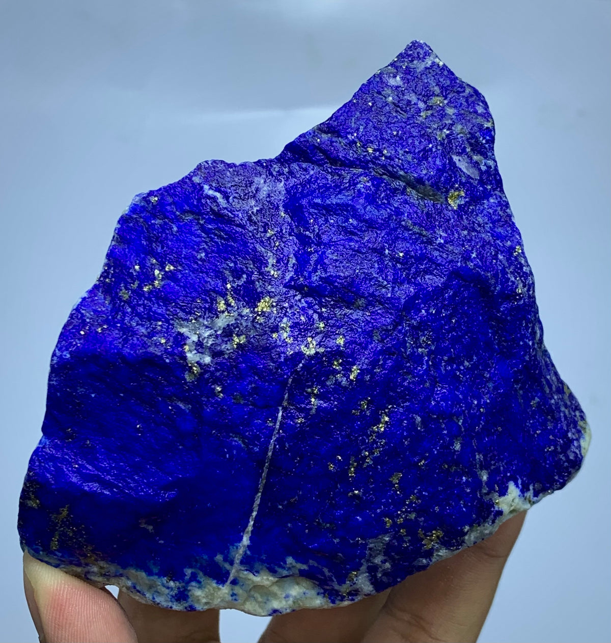 A raw blue lapis lazuli crystal specimen with gold pyrite stars and white calcite veins, held in a hand against a light blue background.
