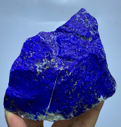 A raw blue lapis lazuli crystal specimen with gold pyrite stars and white calcite veins, held in a hand against a light blue background.