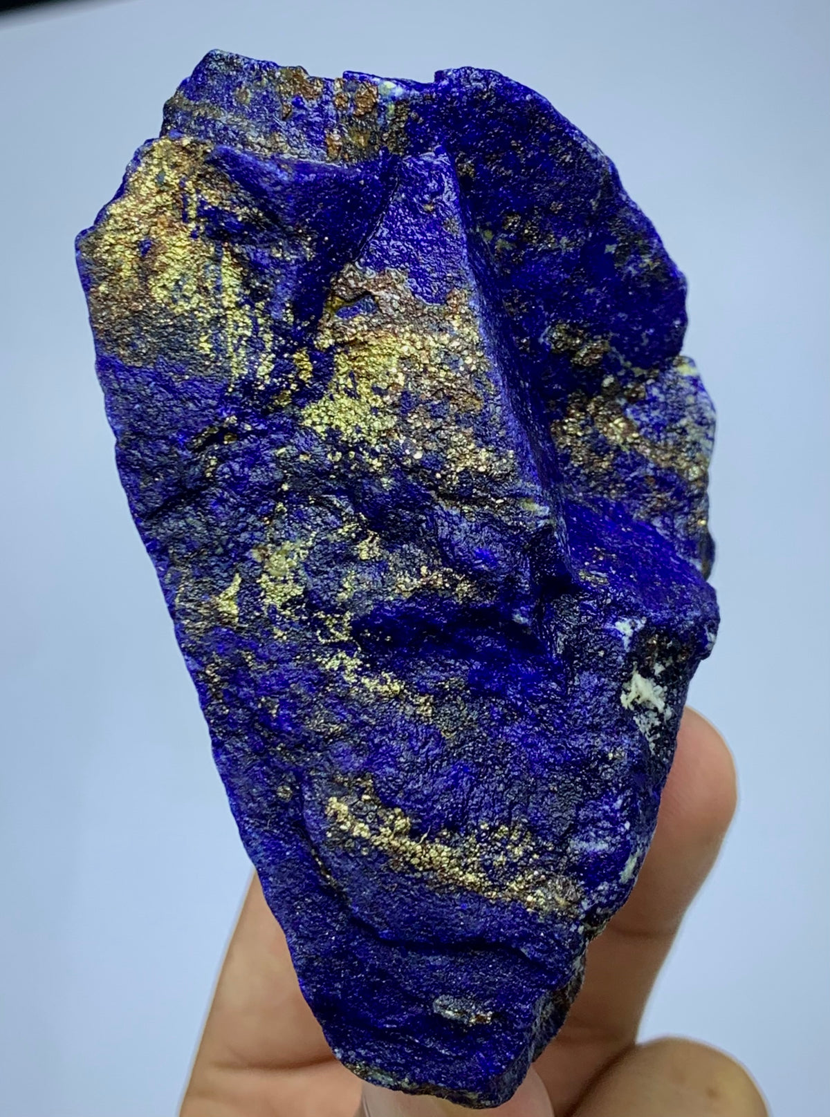 A raw blue lapis lazuli crystal specimen with prominent metallic gold pyrite inclusions, held in a person's hand against a light blue background.