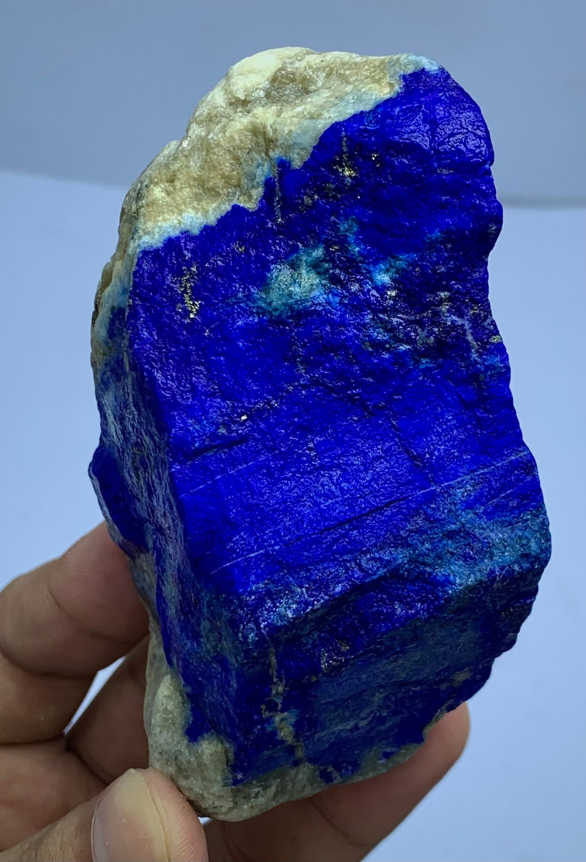 A hand holding a raw lapis lazuli crystal specimen, showing its deep blue color with natural matrix and a light beige outer surface, against a plain light background.