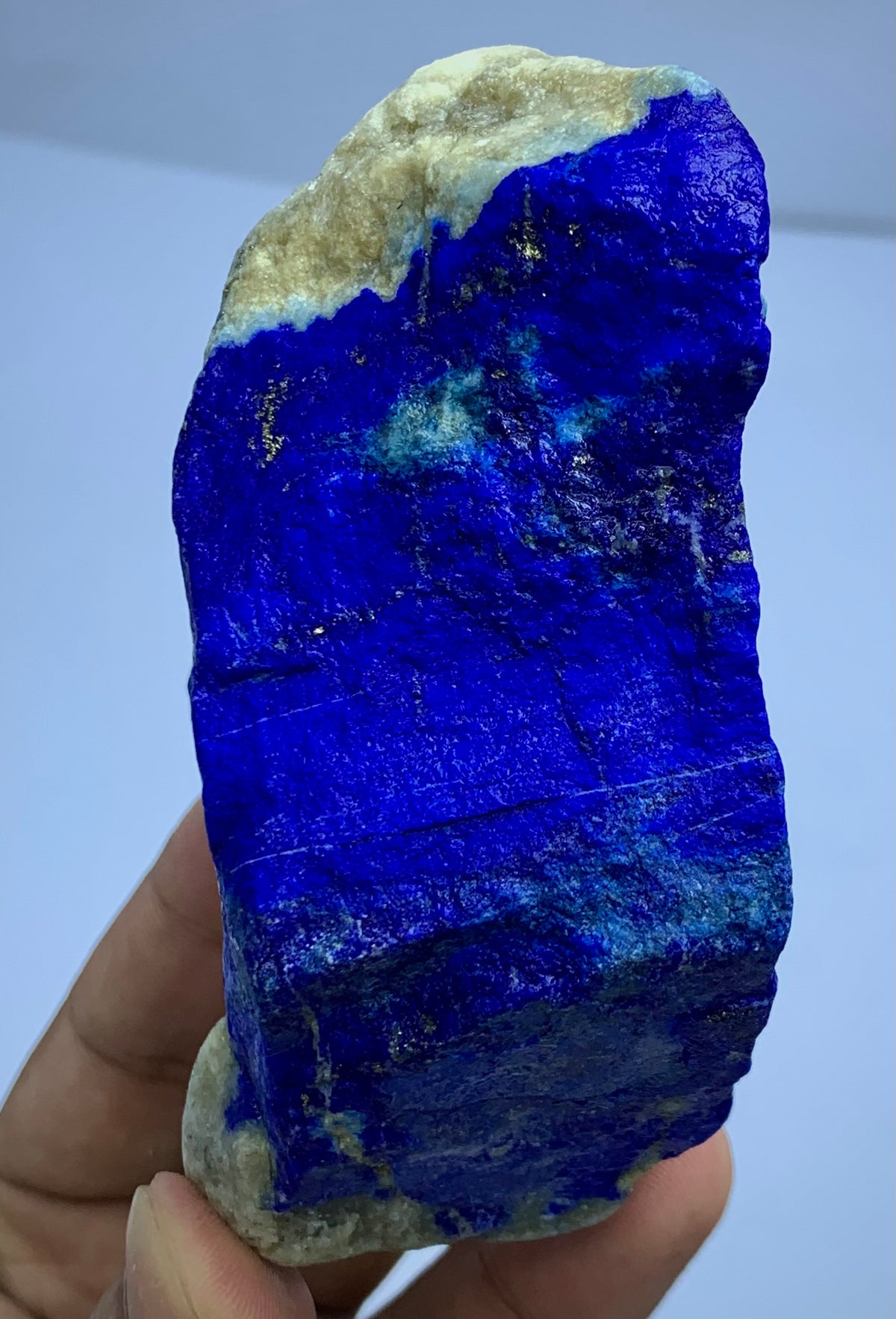 A hand holding a raw lapis lazuli crystal specimen with deep blue matrix and pale beige to off-white edges and matrix.