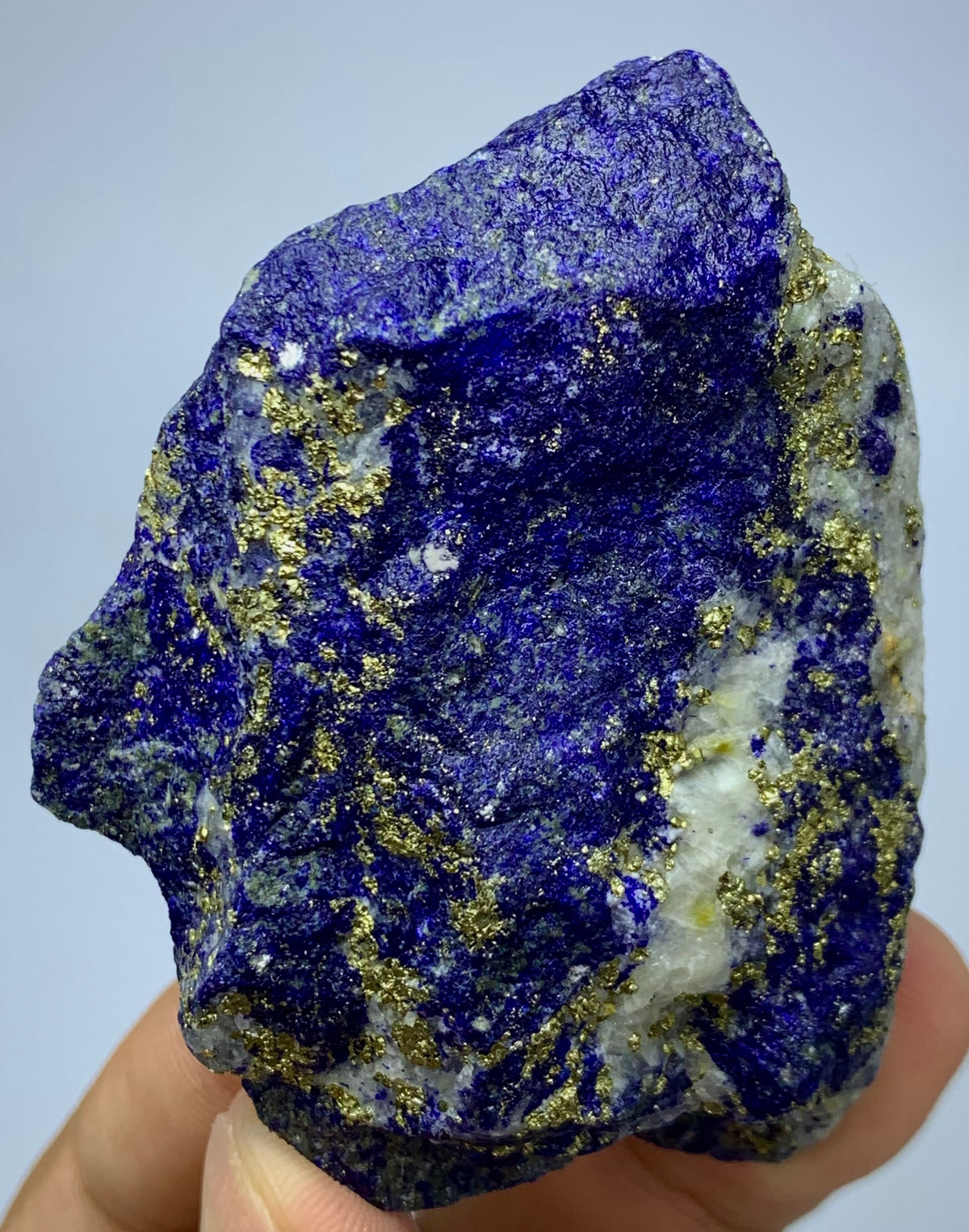 A raw mineral specimen, likely a lapis lazuli crystal, held in a person's hand. The stone features a deep blue matrix heavily accented with metallic gold pyrite and patches of white calcite, set against a plain light gray background.