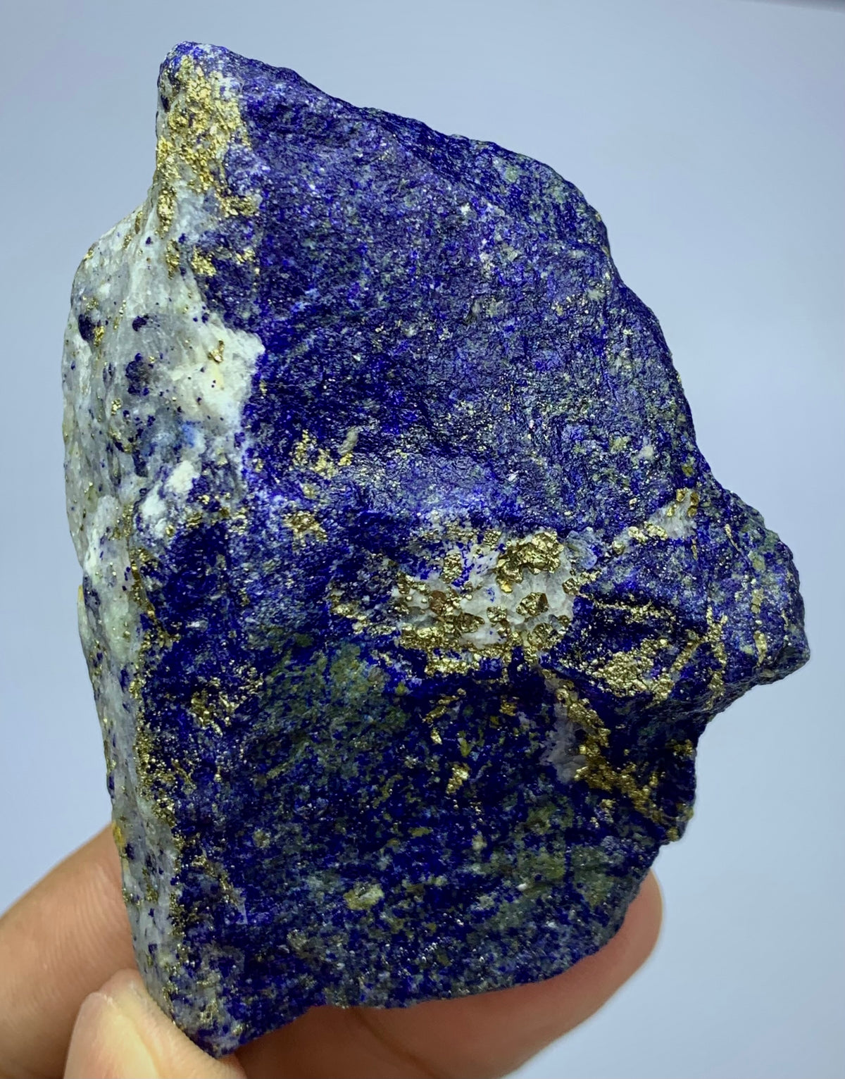 A raw mineral specimen of lapis lazuli, showing deep blue crystals with prominent metallic gold pyrite veins and a white matrix, held in a person's hand against a light gray background.