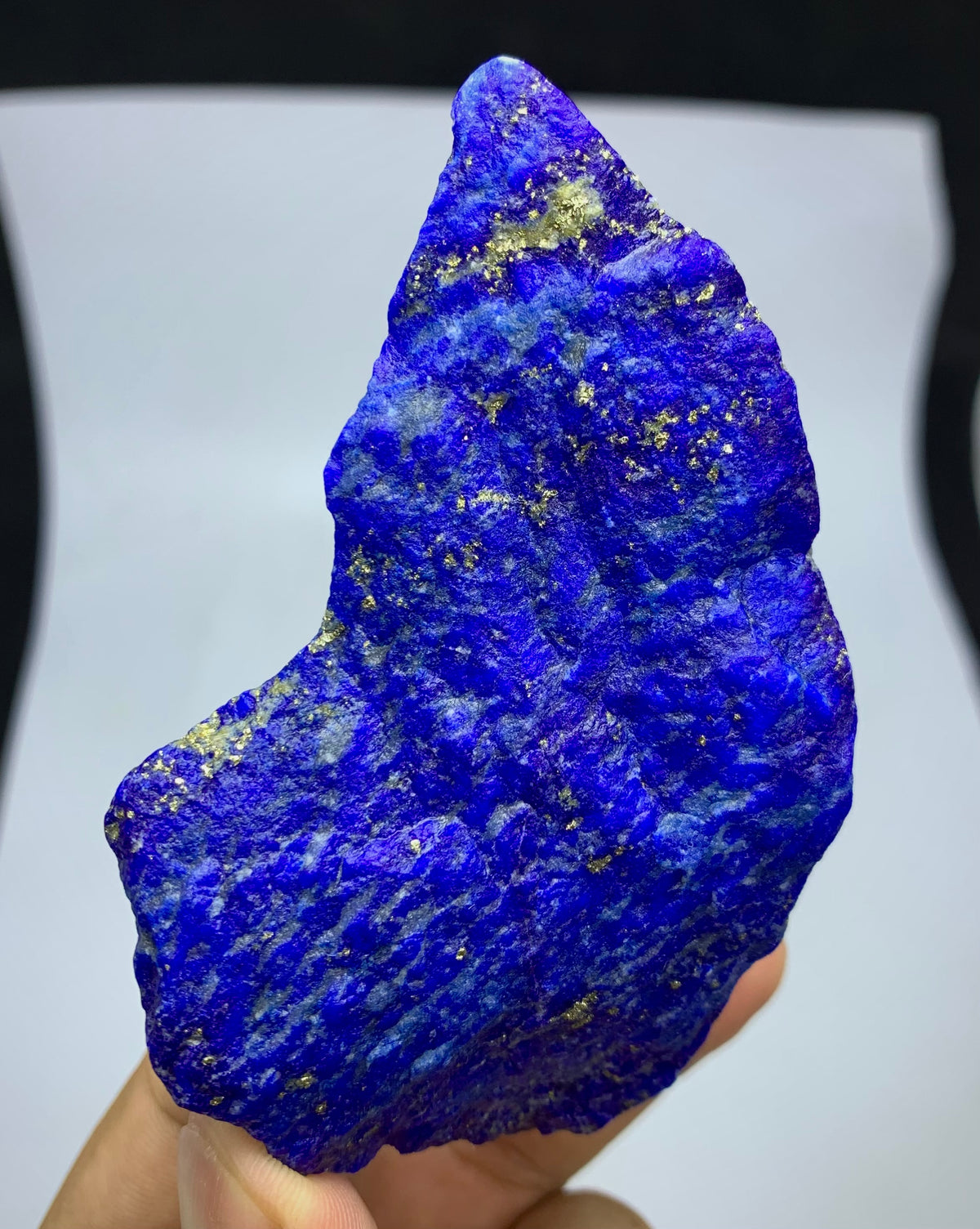 A raw, rough-cut lapis lazuli crystal specimen with bright blue color and gold pyrite inclusions, held in a person's hand against a black and white background.