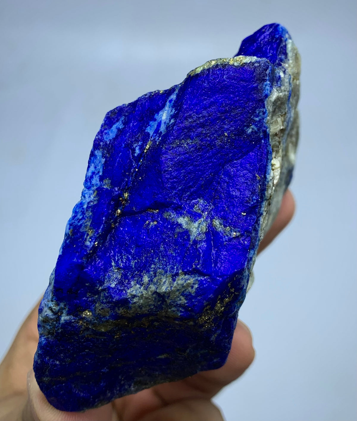 A raw, rough blue lapis lazuli crystal specimen with prominent metallic gold pyrite veins, held in a person's hand against a light gray background.