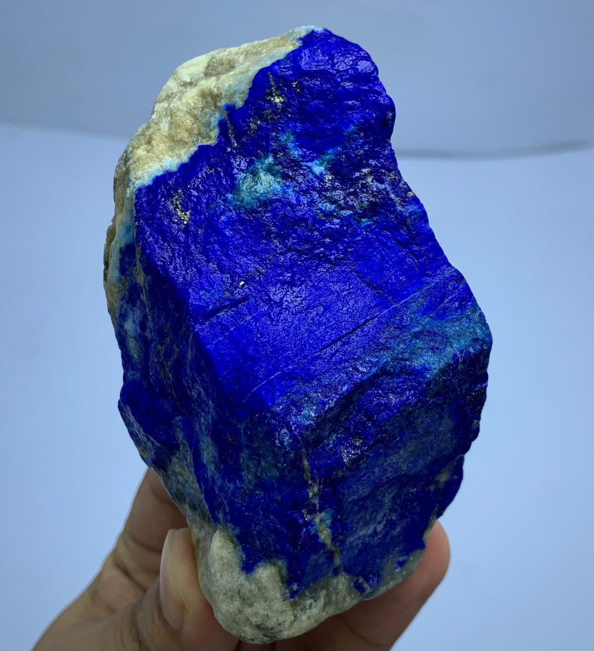 A hand holding a rough blue lapis lazuli crystal with a beige matrix, shown against a plain light background.