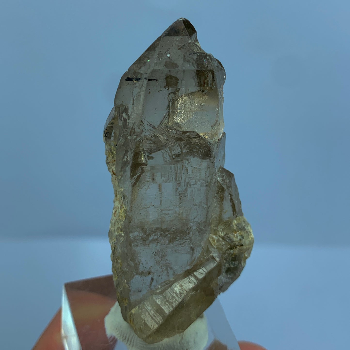 Black Rutile Quartz, Terminated Crystal, Rutilated Quartz, Natural Point Crystal, 185 Carat Crystal, Exquisite Mineral, Pakistan Quartz, Raw Crystal, Quartz Specimen, Black Rutile Inclusions, Collector Crystal, Healing Crystal.