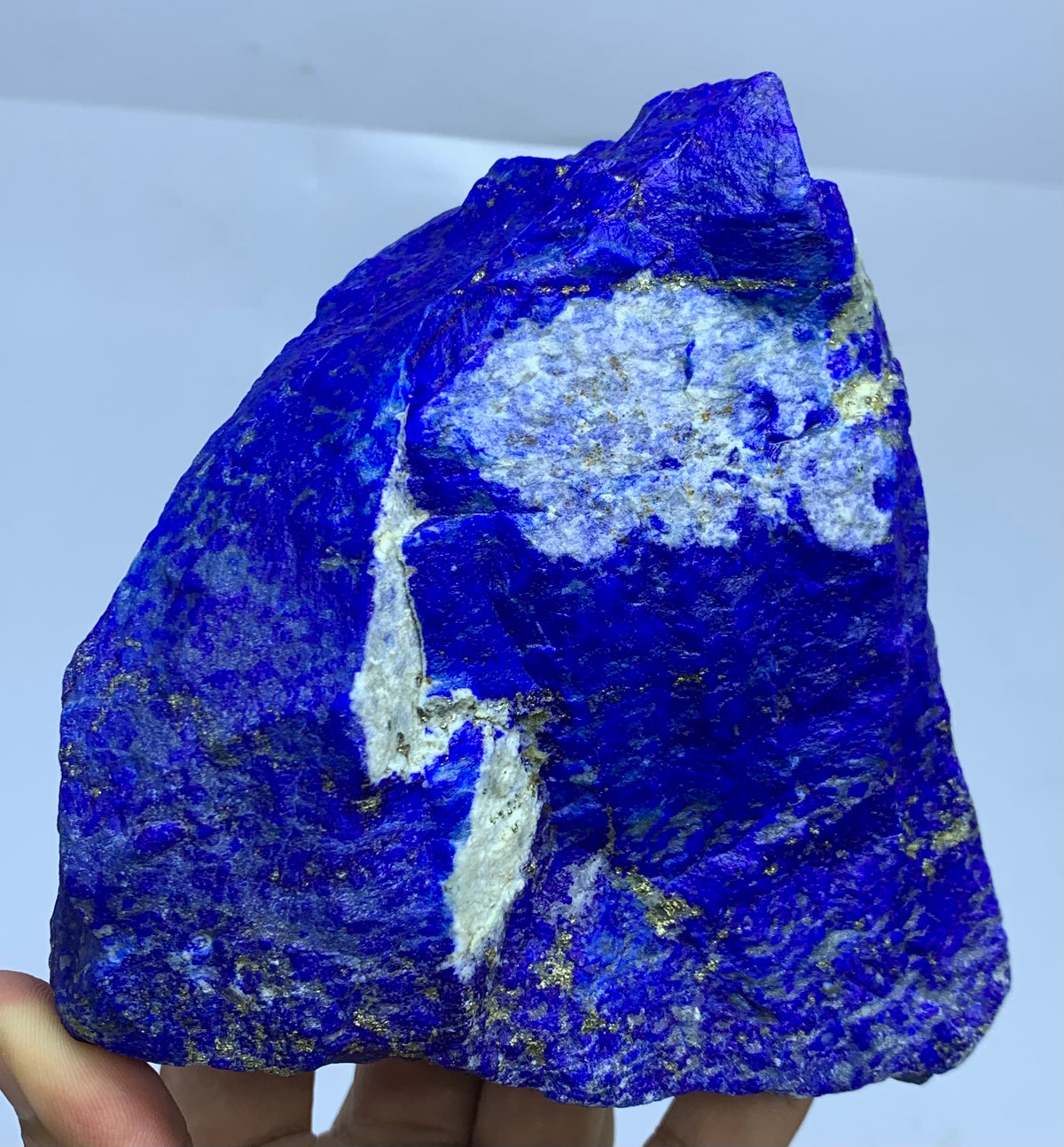 A raw lapis lazuli crystal specimen with deep blue coloration and prominent white and gold veins, held in a person's hand against a plain light background.