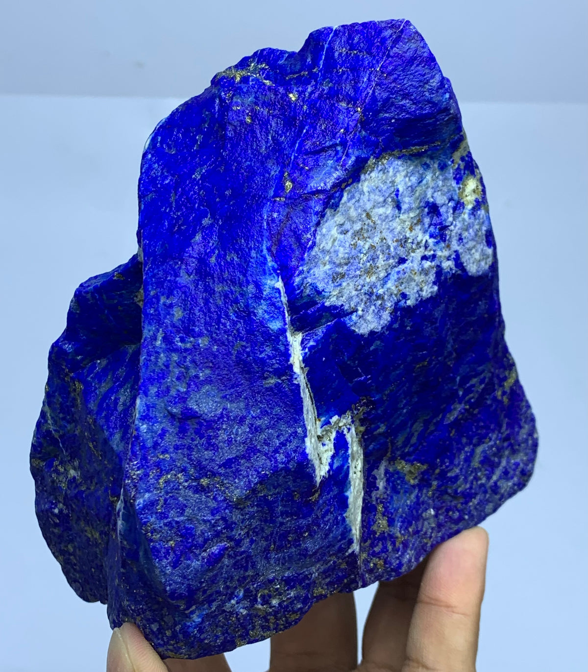 A raw, rough-cut blue lapis lazuli crystal specimen being held by a person's hand against a plain light gray background.